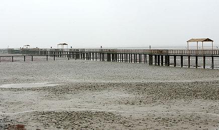 《Off the Grid》Steam正式推出 《第九区》导演免费大逃杀